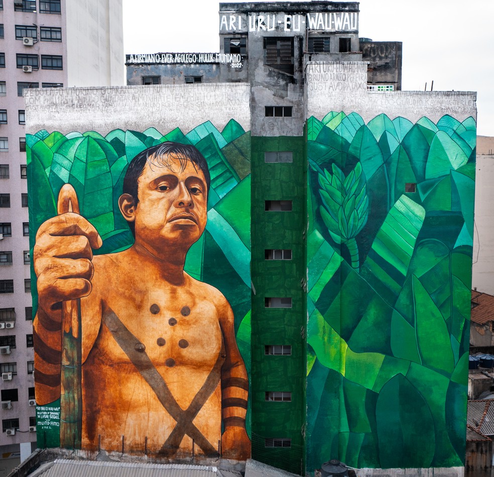 Ari-Uru-Eu-Wau-Wau é homenageado em pintura de 600 m² no Centro de São Paulo — Foto:  André D'Elia