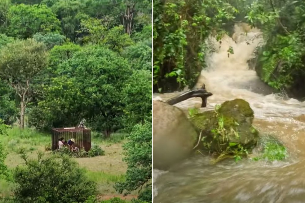 MrBeast ficou em uma jaula no safári africano e enfrentou uma enchente no Peru — Foto: Reprodução/YouTube
