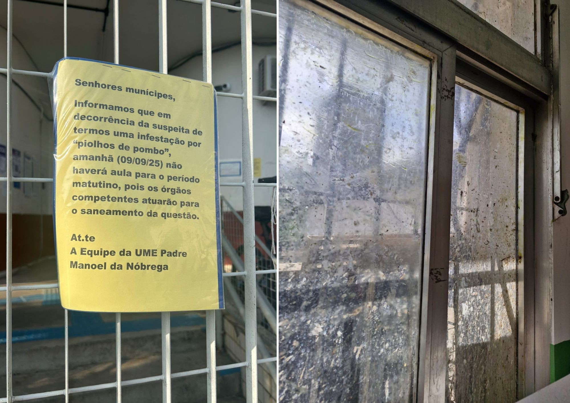 Escola municipal suspende aulas após casos de picadas de piolhos de pombo em SP 