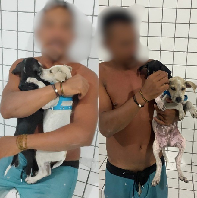 Homem é preso após tentar afogar filhotes de cachorros em praia do Piauí