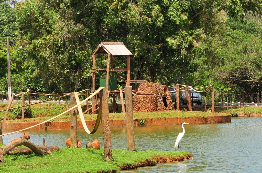 Natal: veja o que abre e o que fecha nos dias 24 e 25 de dezembro em Brasília