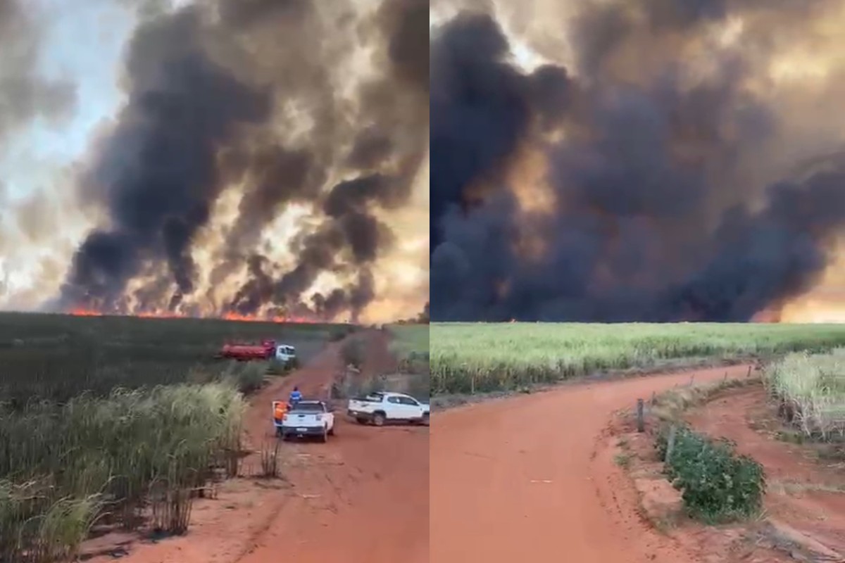 VÍDEO: incêndio atinge plantação de cana-de-açúcar em municípios do interior de SP