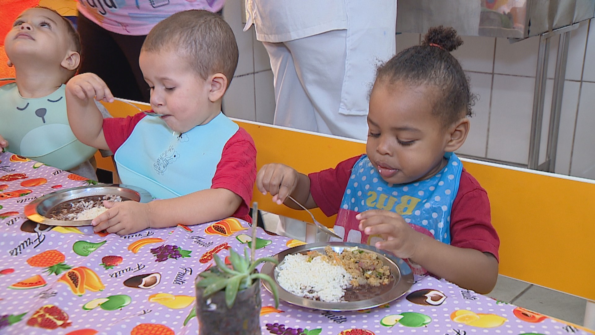 Banco de Alimentos do RS completa 25 anos com mais de 300 milhões de refeições distribuídas