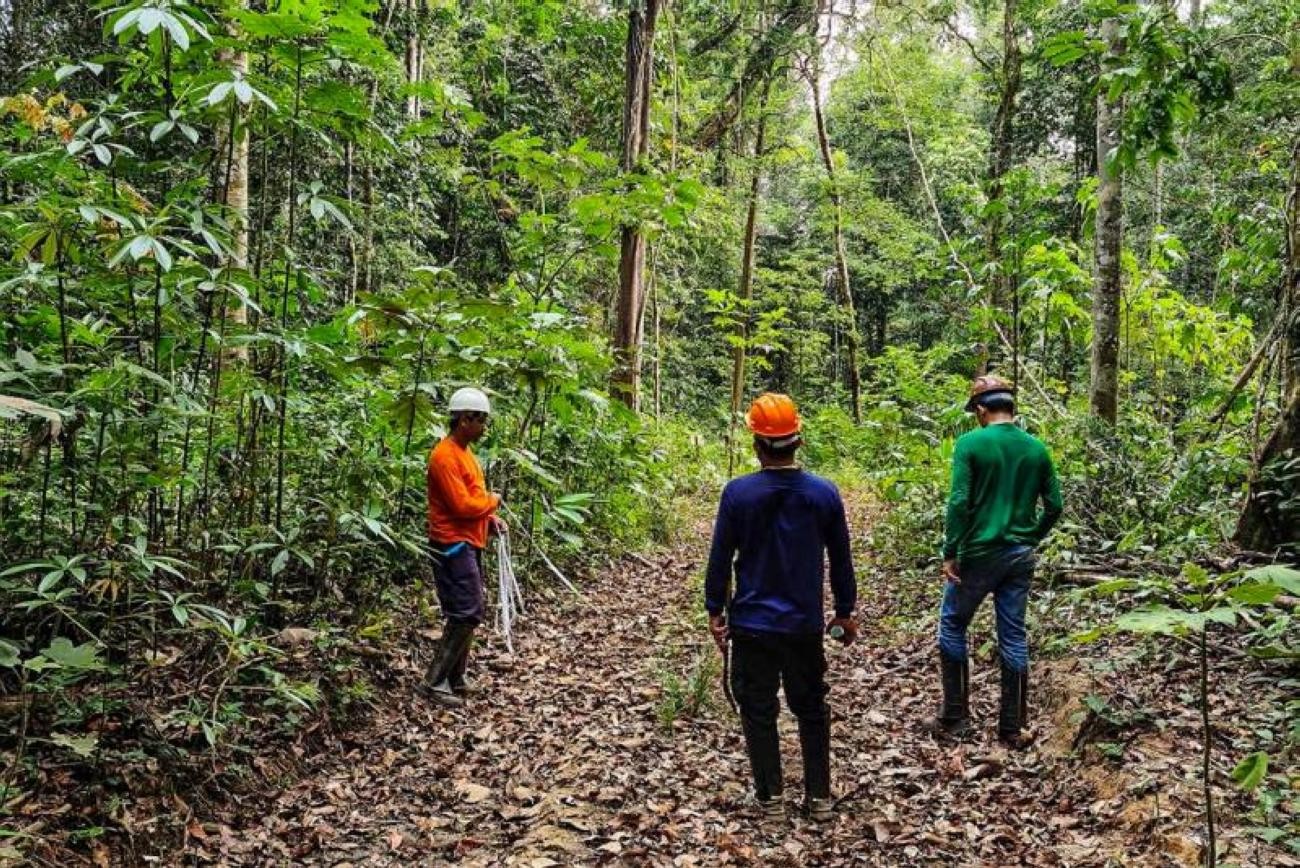 MPPA recomenda correção de sobreposição de áreas da Flota Paru em Prainha, no Pará