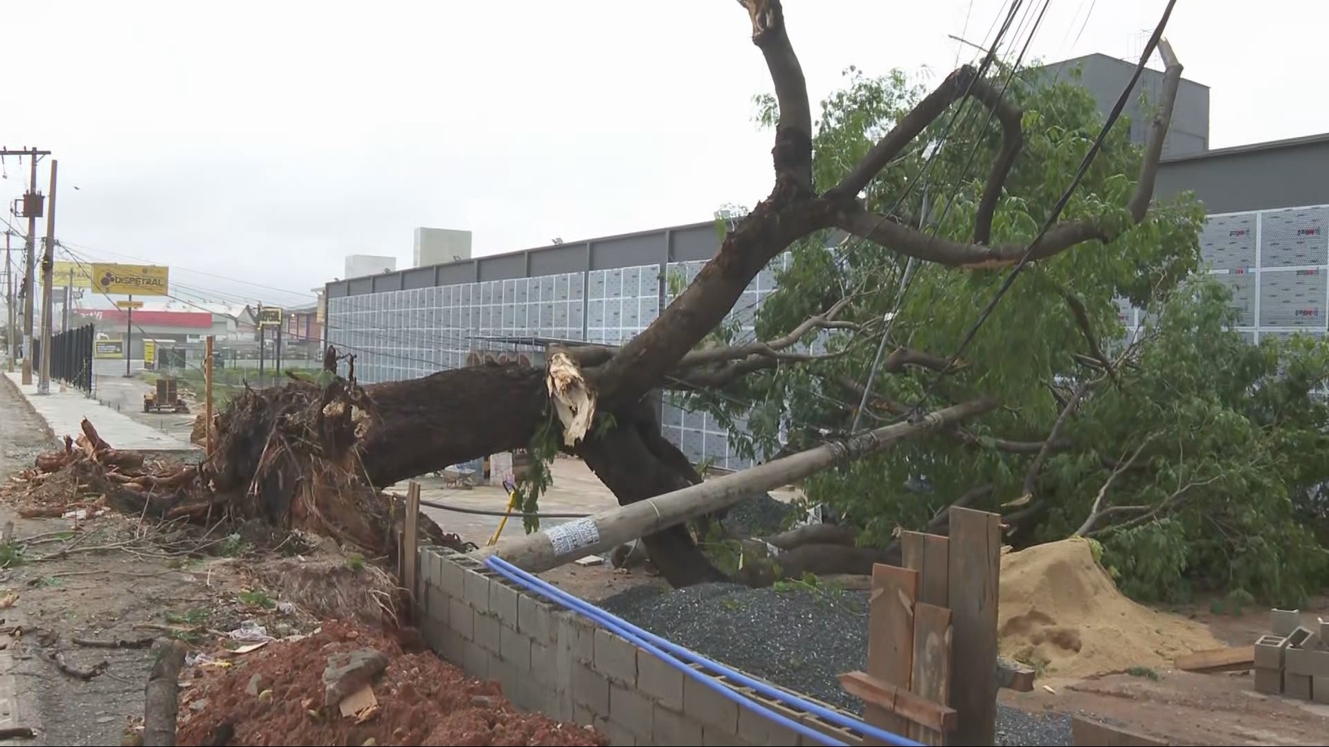 Queda de árvore, deslizamento, alagamento de rodovia: chuva forte causa estragos na Grande BH