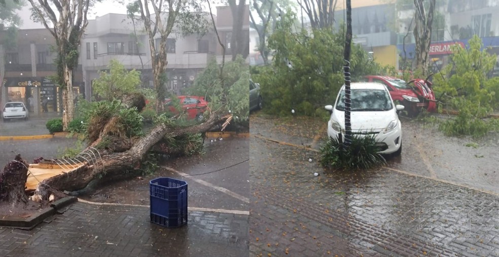 No Oeste de Santa Catarina, moradores já registraram queda de árvores, vendavais e granizo. — Foto: Reprodução/Redes sociais