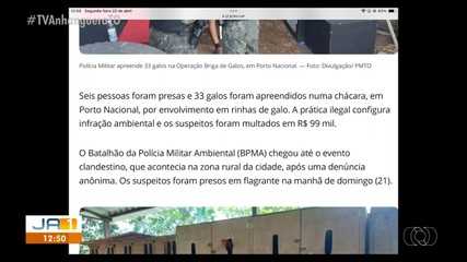 Seis suspeitos de praticar rinha de galo são presos e multados em quase R$ 100 mil