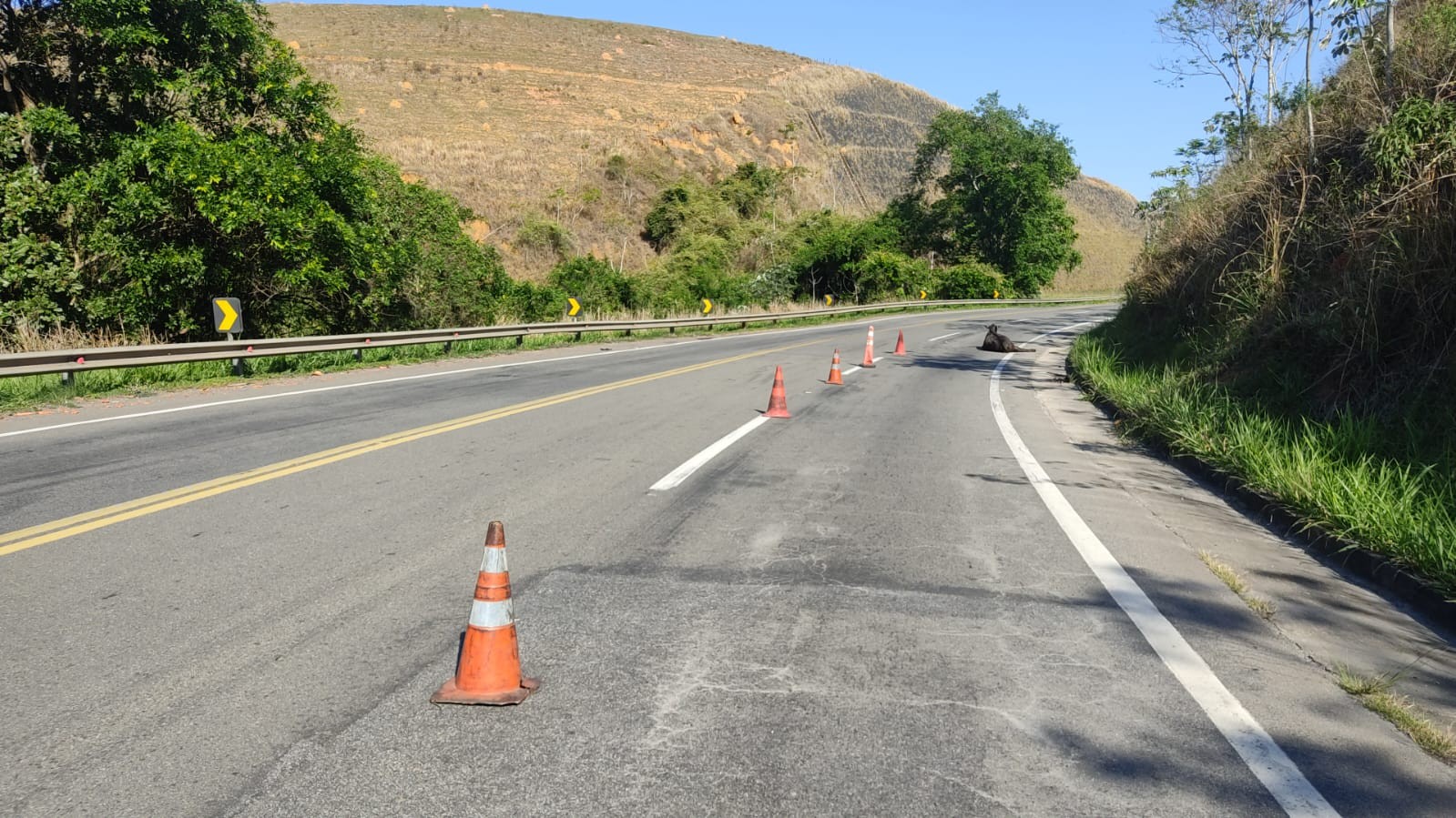 Você Não Tá Convidada pro Meu Bat Mitzvá!