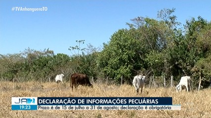 Adapec altera prazo para declaração de informações pecuárias