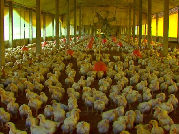 Você Não Tá Convidada pro Meu Bat Mitzvá!