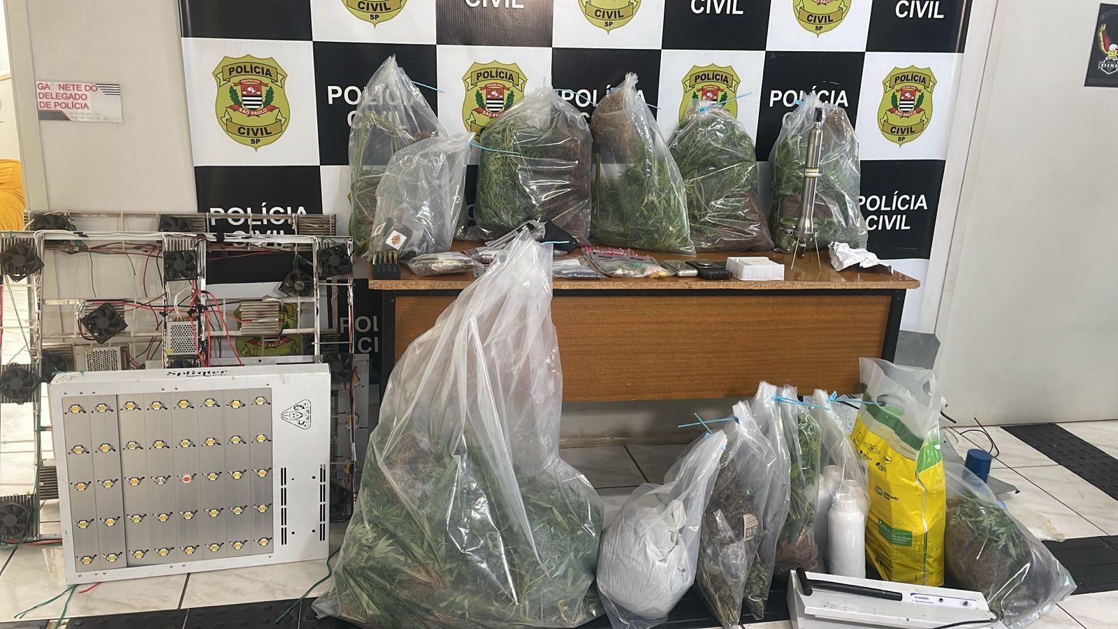 Polícia descobre estufa de maconha com R$ 500 mil em drogas e três são presos em Mogi Guaçu
