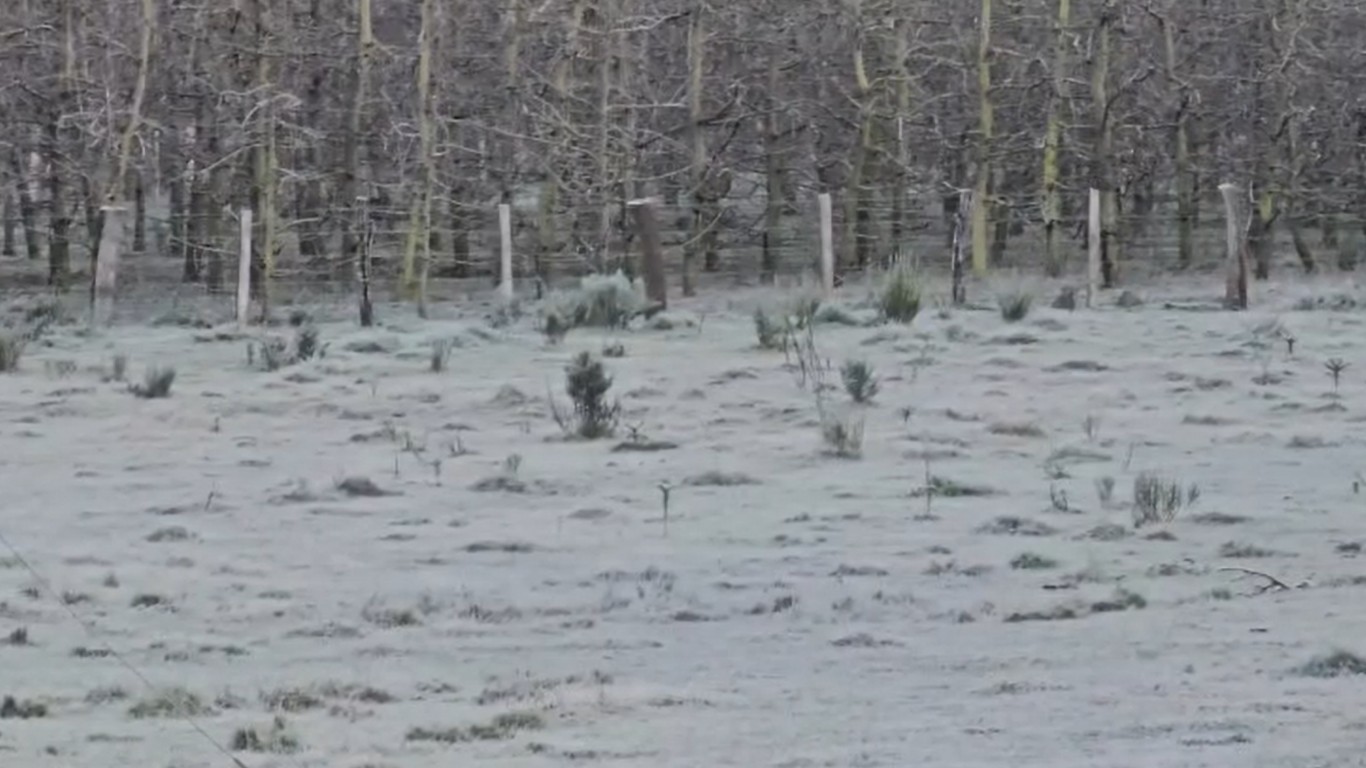 Massa de ar frio congela paisagem em SC e termômetros chegam a -7,7 °C; VÍDEO