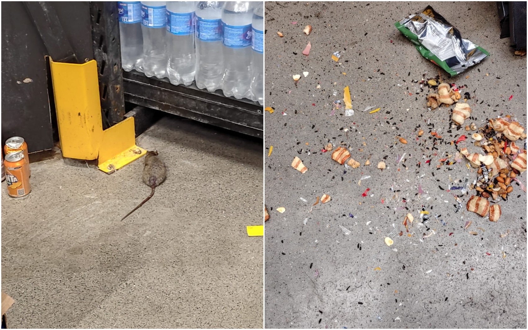 Supermercado é interditado pela vigilância sanitária após flagrante de irregularidades em Pouso Alegre, MG