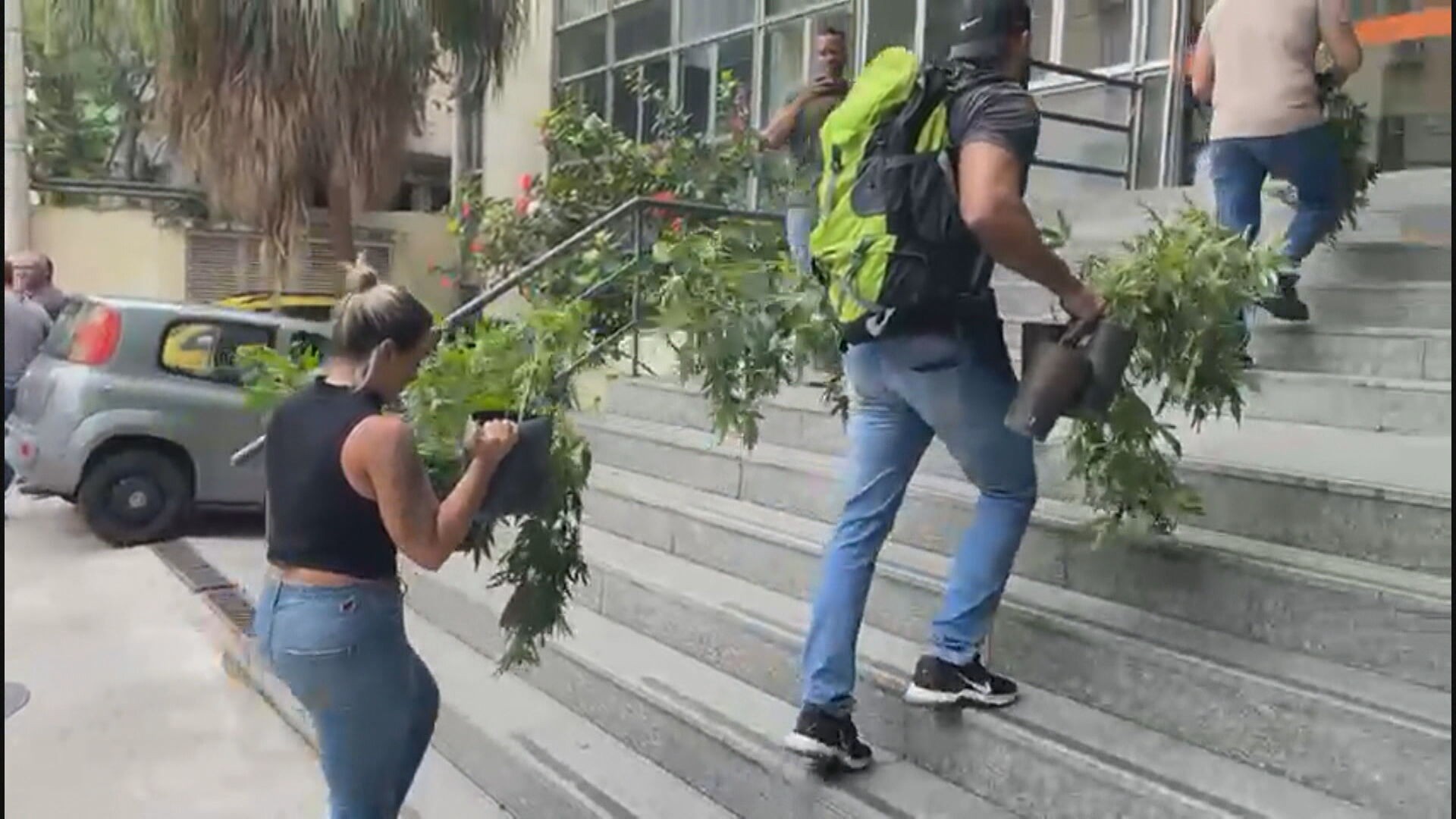 Polícia encontra estufa de maconha com mais de 30 pés de skunk na Zona Norte do Rio