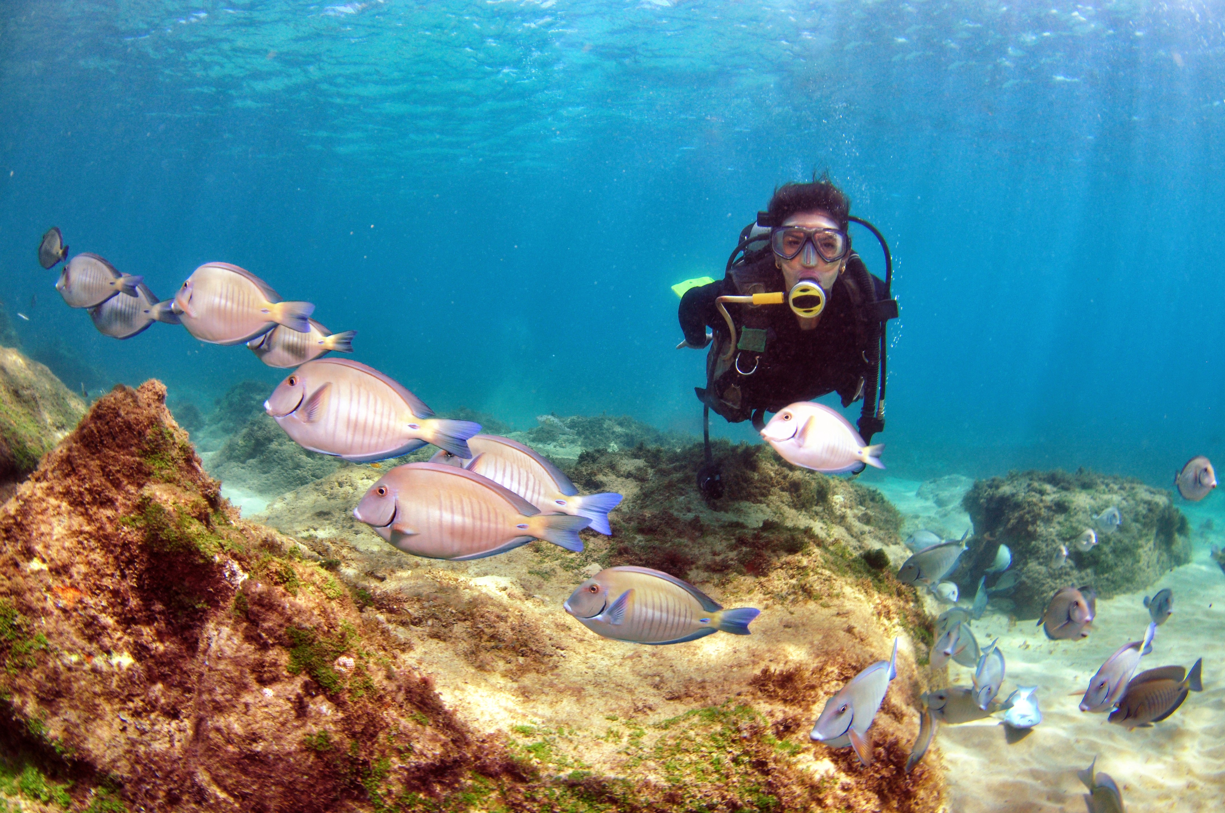 Economia azul impulsiona desenvolvimento sustentável no litoral catarinense