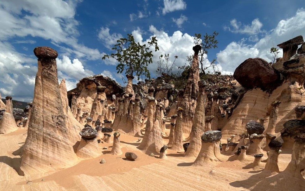 Local nunca foi usado para agricultura ou turismo, o que ajudou a preservar as forma��es em perfeito estado � Foto: Divulga��o/Fabiane Gontijo