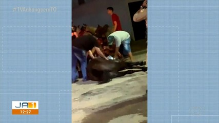Égua passa mal e morre após cavalgada de Gurupi