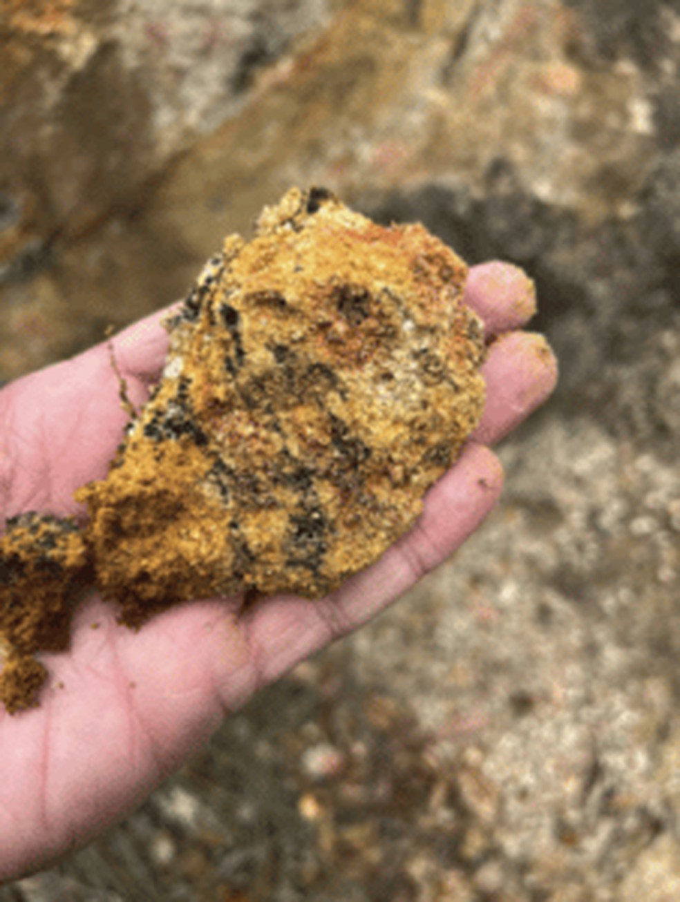 Entenda o que são 'terras raras' e como será a extração de argila iônica, investimento de R$ 1,1 bi anunciado por Zema em MG — Foto: Divulgação / Meteoric Resource