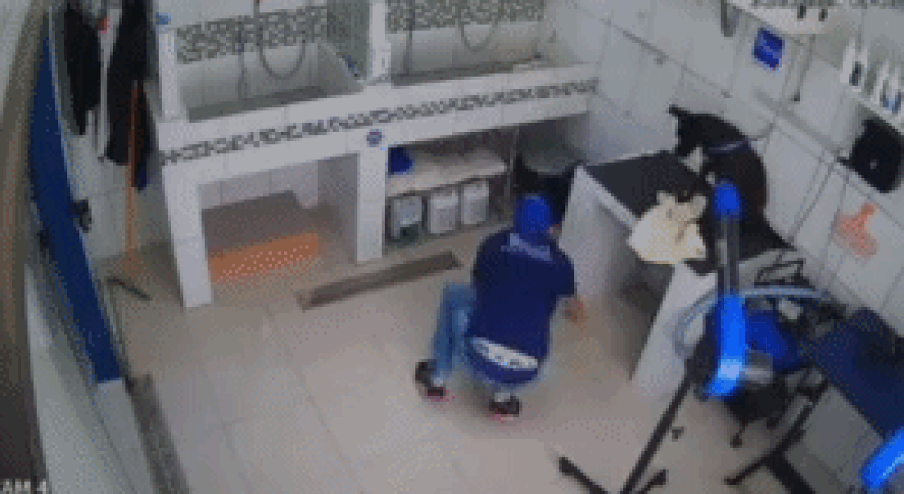 Tosador viraliza com vídeos de brincadeiras para acalmar animais em pet shop: 'Não querem ir embora'