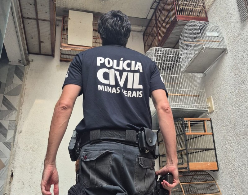 Mais de 23 aves silvestres mantidas ilegalmente em BH são apreendidas