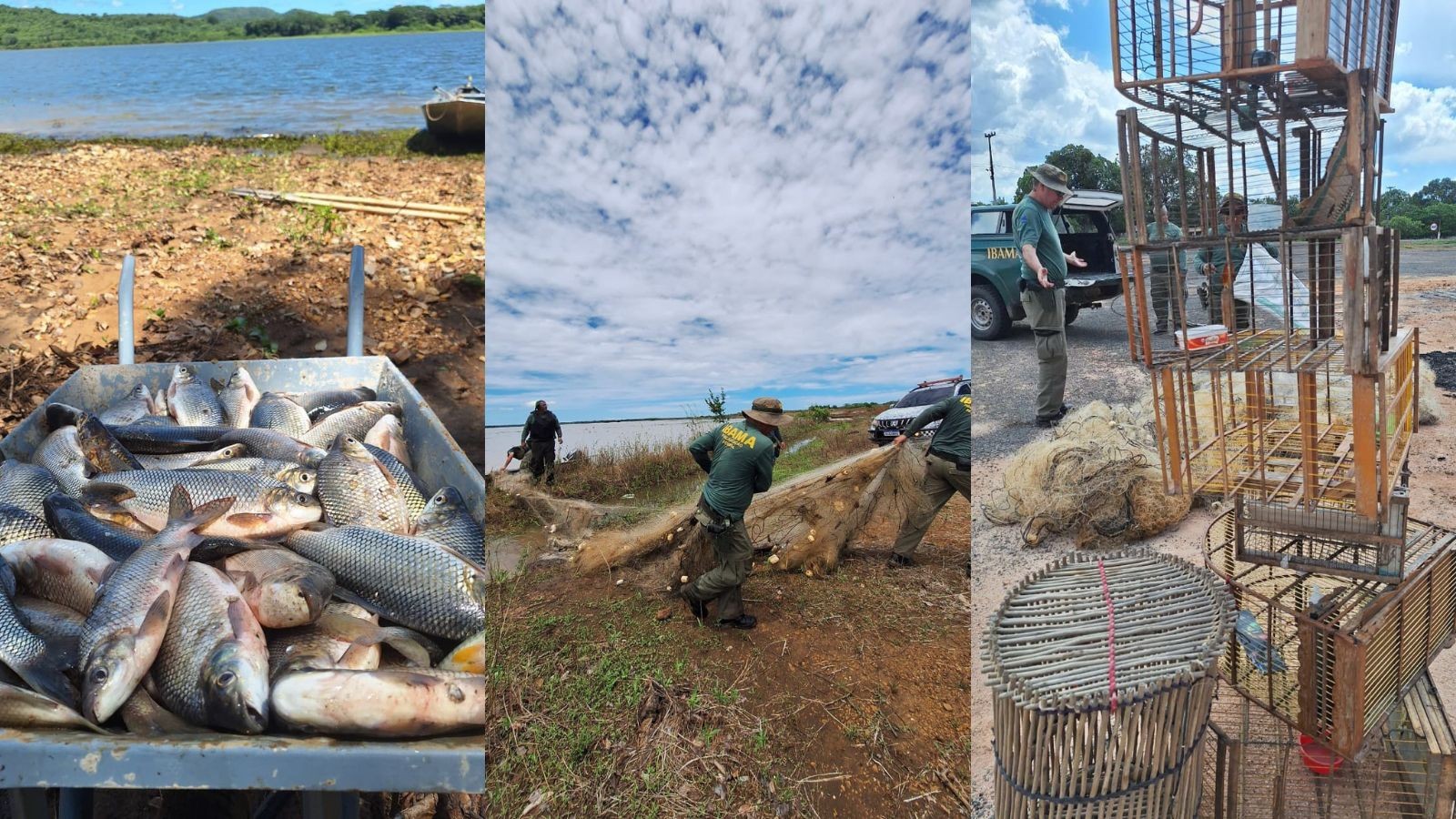 armadilhas-rede-para-pesca-e-quase-200-kg-de-peixe-s-o-apreendidos-g1