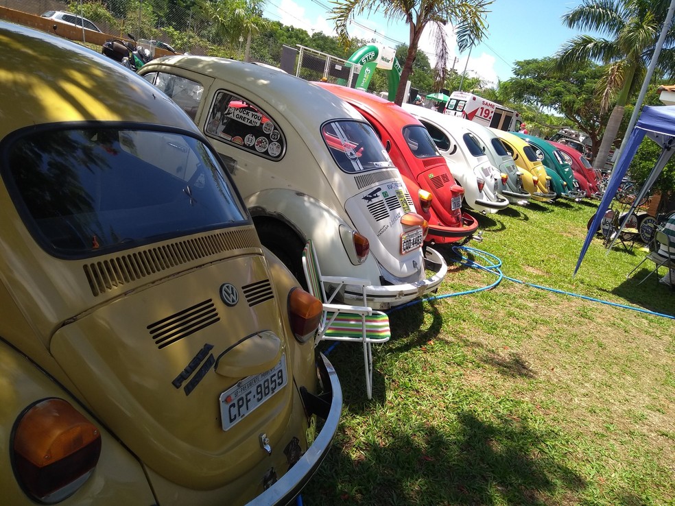 Encontro de colecionadores de Fusca reúne apaixonados pelo carro em Presidente Prudente (SP) — Foto: Reprodução/Facebook