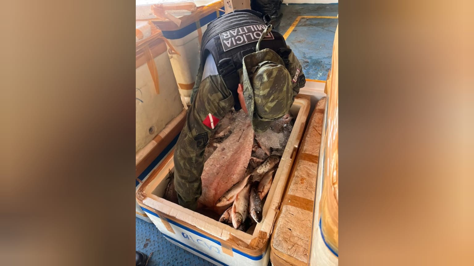 Ação integrada apreende cerca de 300 quilos de pirarucu em fiscalização fluvial em Óbidos