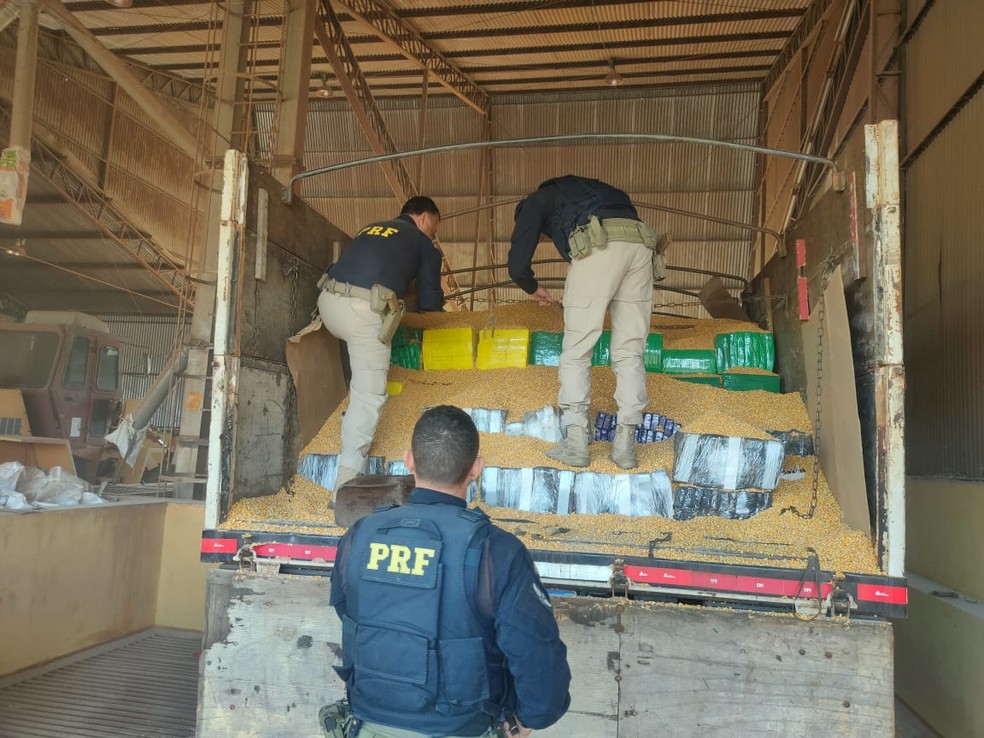 Polícia apreende 5 toneladas de maconha escondidas em carga de milho que seria entregue em Jaci (SP) — Foto: Polícia Rodoviária Federal/Divulgação