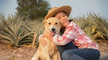 São João: Curso de Veterinária da UniFTC orienta como proteger animais