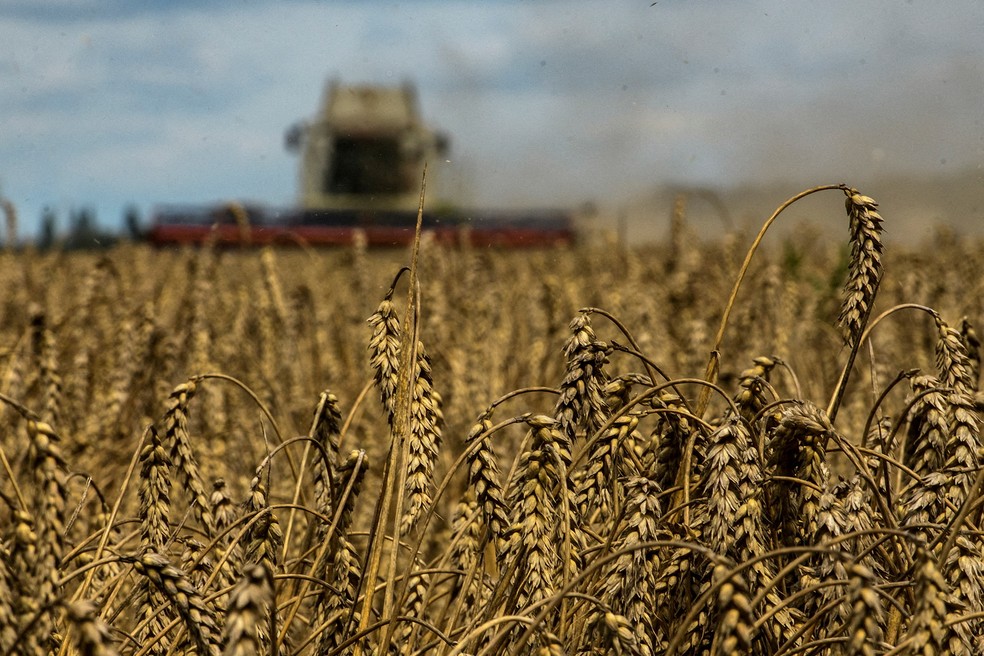 Tem trigo sendo produzido no mundo e Brasil está com uma boa safra.  — Foto: REUTERS