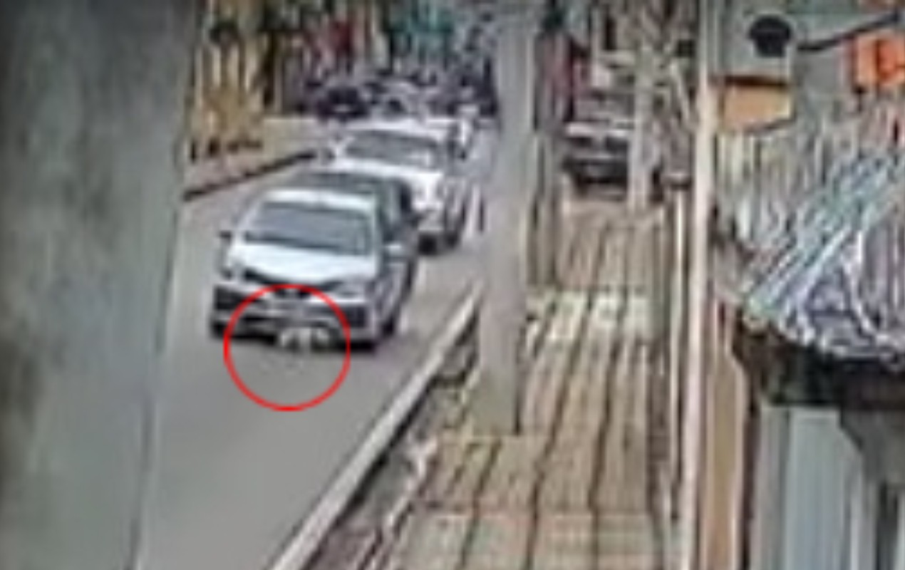 VÍDEO: motorista freia carro para não atropelar cão no meio da rua e é atingido na traseira por outro veículo