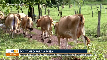 Fazenda abandonada vira referência em sustentabilidade na produção de leite