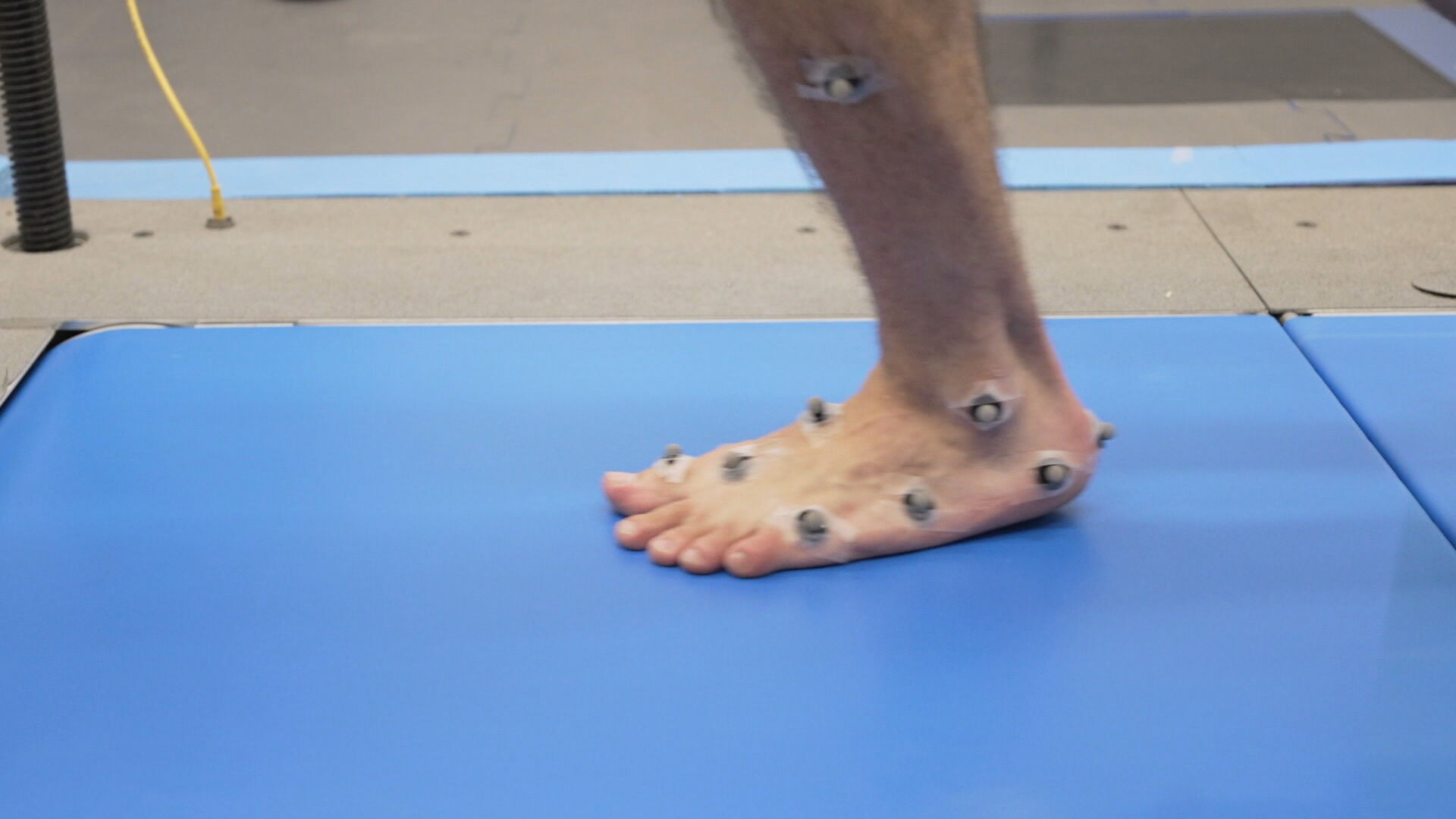 Você Não Tá Convidada pro Meu Bat Mitzvá!