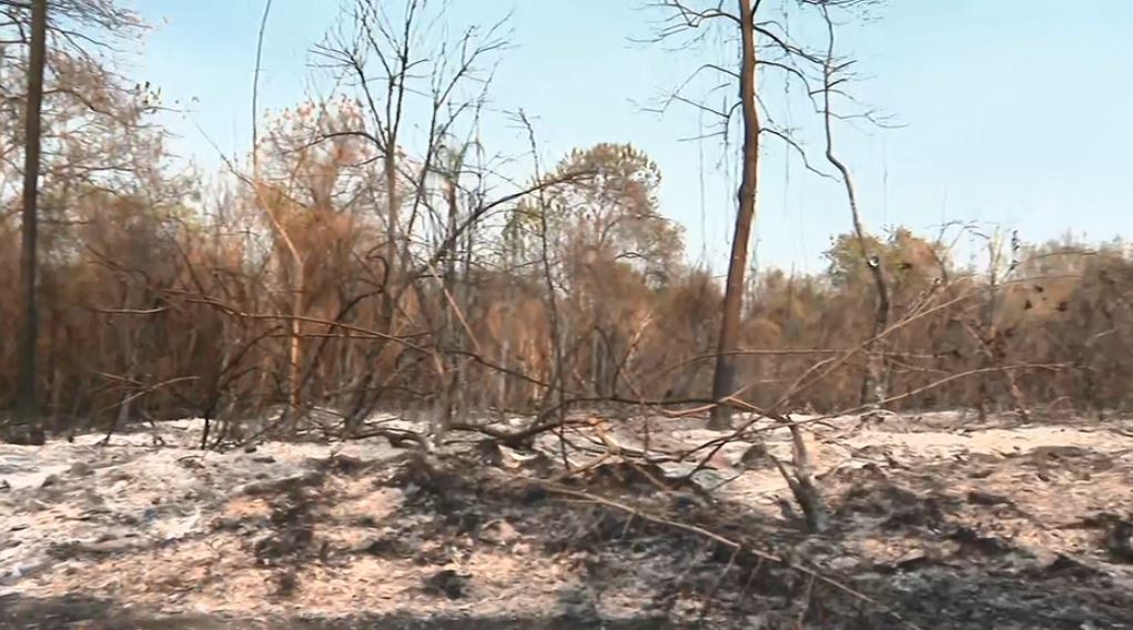 Incêndios em Rincão já atingiram pelo menos 15 propriedades rurais desde segunda; VEJA VÍDEO