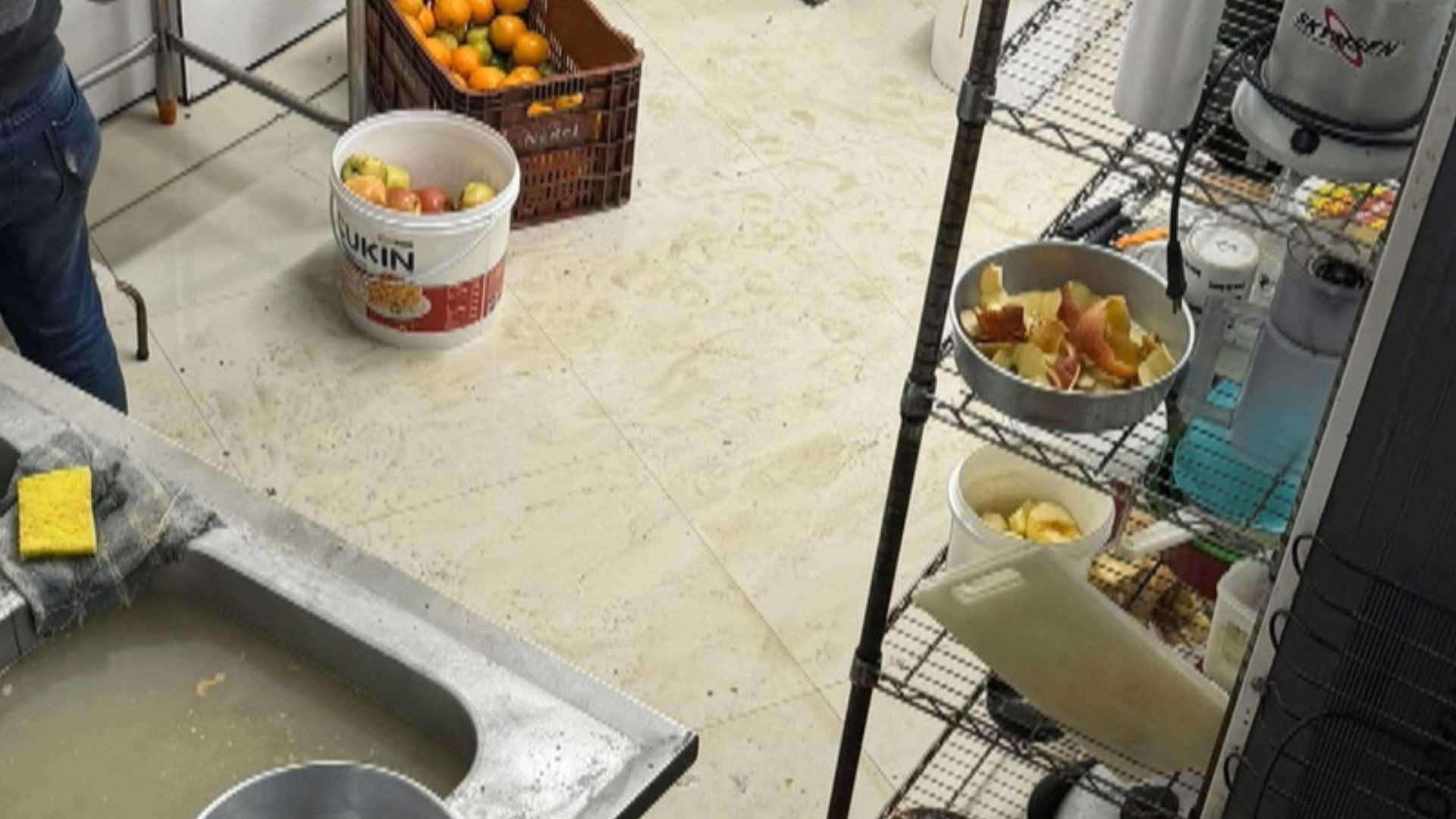 Fezes e urina de roedores, produtos vencidos e problemas de higiene: cliente encontra rato morto em bolo — Foto: Imagem cedida/ Polícia Civil