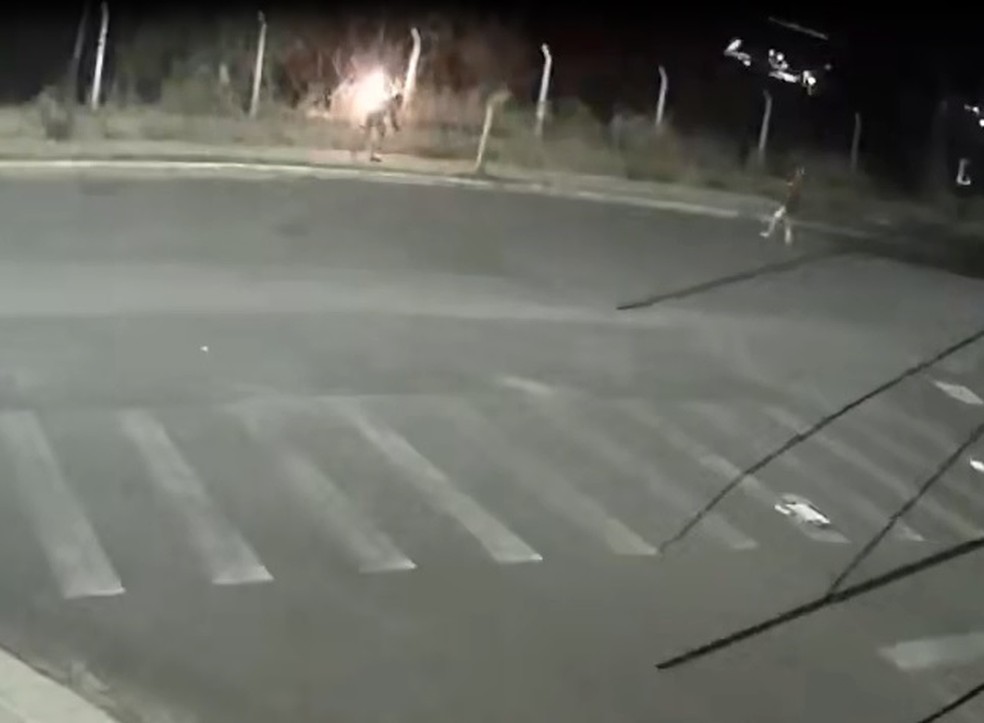 Polícia investiga incêndio criminoso contra vegetação em Marília — Foto: Câmera de Segurança/Reprodução