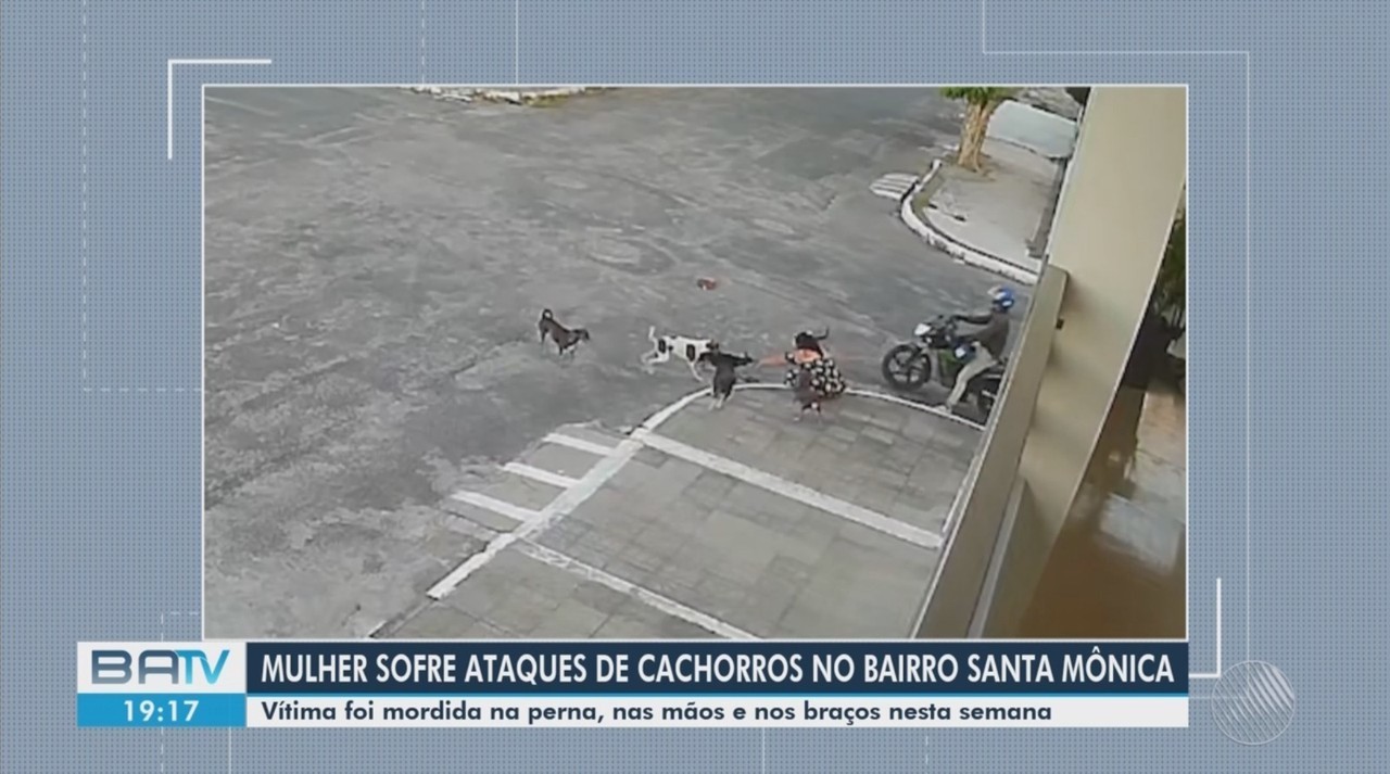 VÍDEO: agente de saúde é atacada por seis cães em Feira de Santana