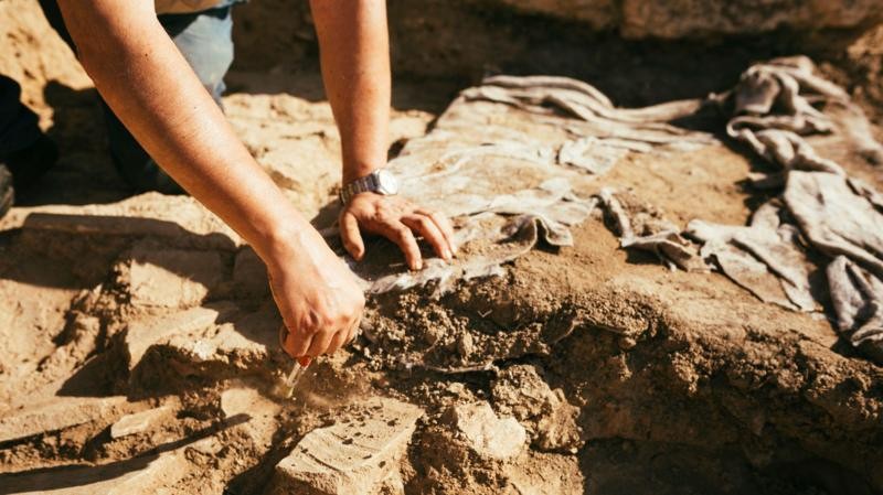 Fósseis falsos de dinossauros: o que novo estudo revela