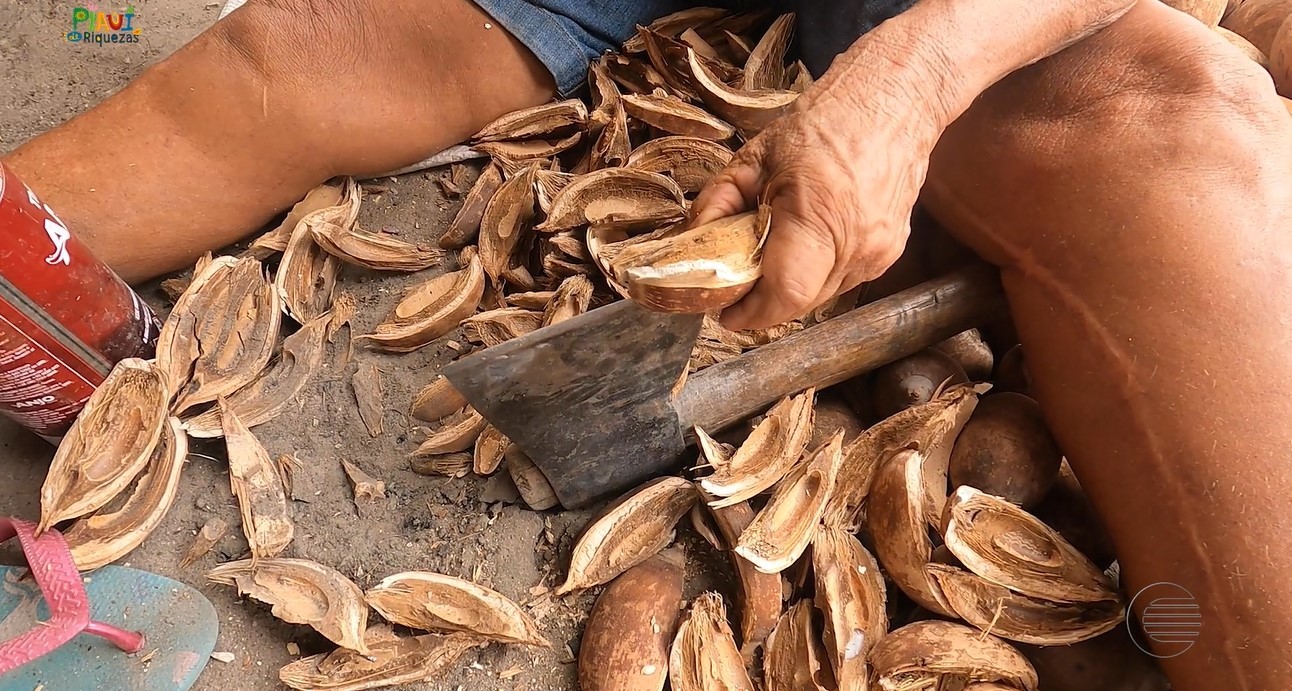 UFPI anuncia processo seletivo para indígenas, quilombolas e quebradeiras de coco