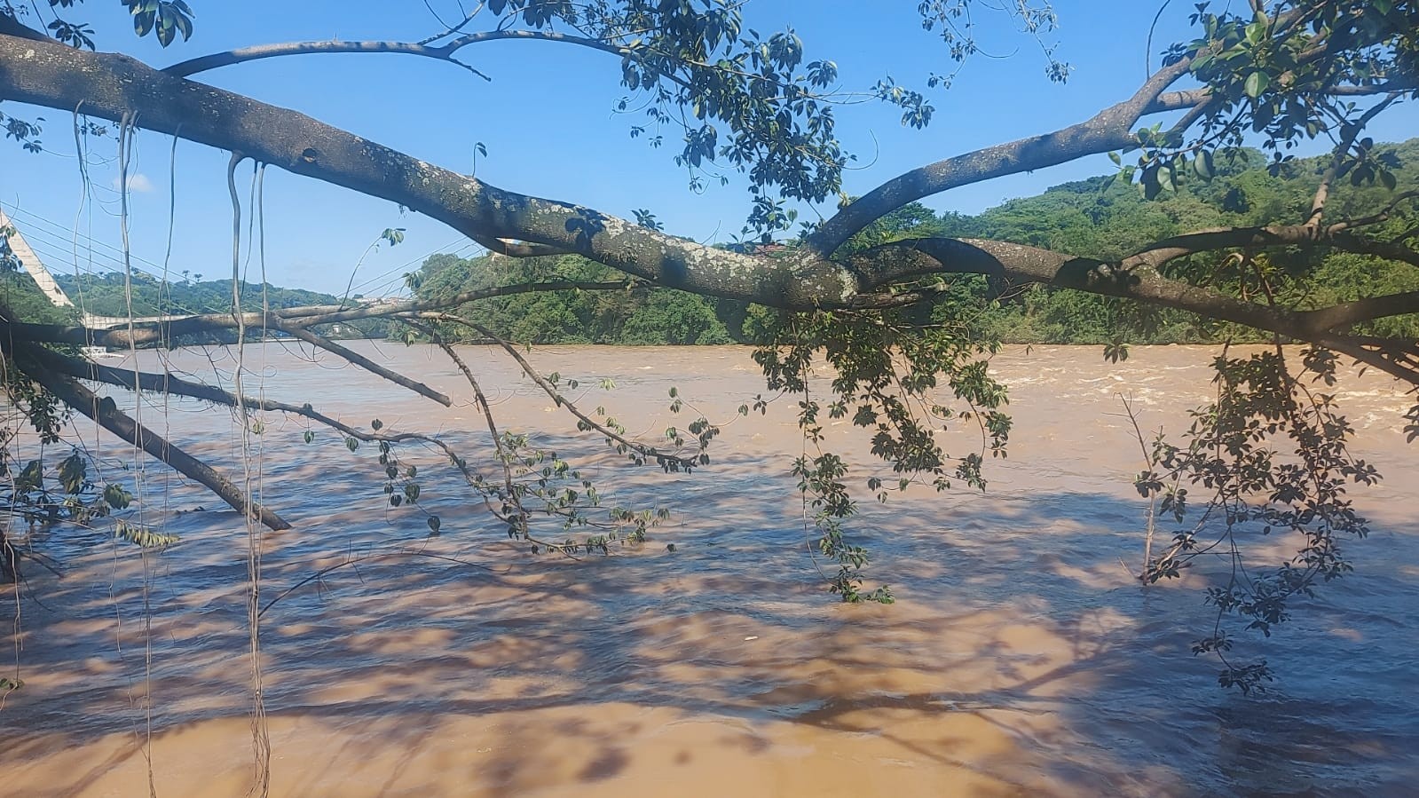 Verão mais chuvoso em 15 anos favorece mananciais de Piracicaba, mas afeta produtor de cana-de-açúcar: 'solo encharcado' 