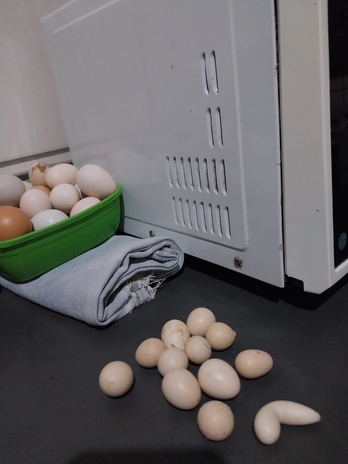 Preço do ovo de galinha sobe quase 19% nos últimos 12 meses, Jornal  Nacional