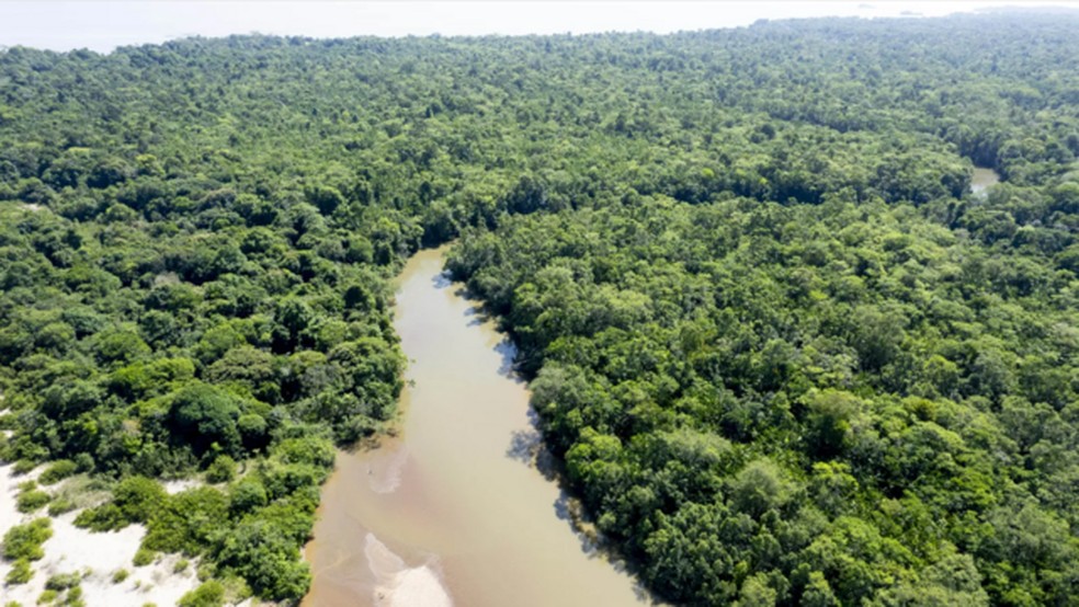 Estima-se que a terra preta esteja presente no solo de 0,1 a 10% da bacia amaz&ocirc;nica. &mdash; Foto: GETTY IMAGES via BBC