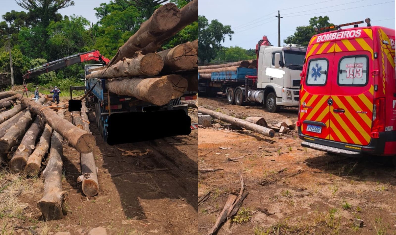 Trabalhador morre esmagado por tora de madeira ao descarregar carreta em SC