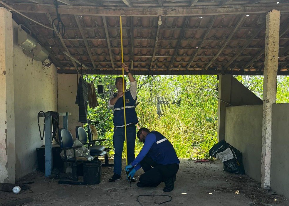 Reprodução simulada morte Maria Katharina Simões da Costa — Foto: Polícia Científica