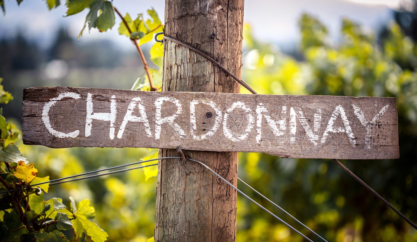 Dia da Chardonnay: 5 vinhos elegantes da Argentina