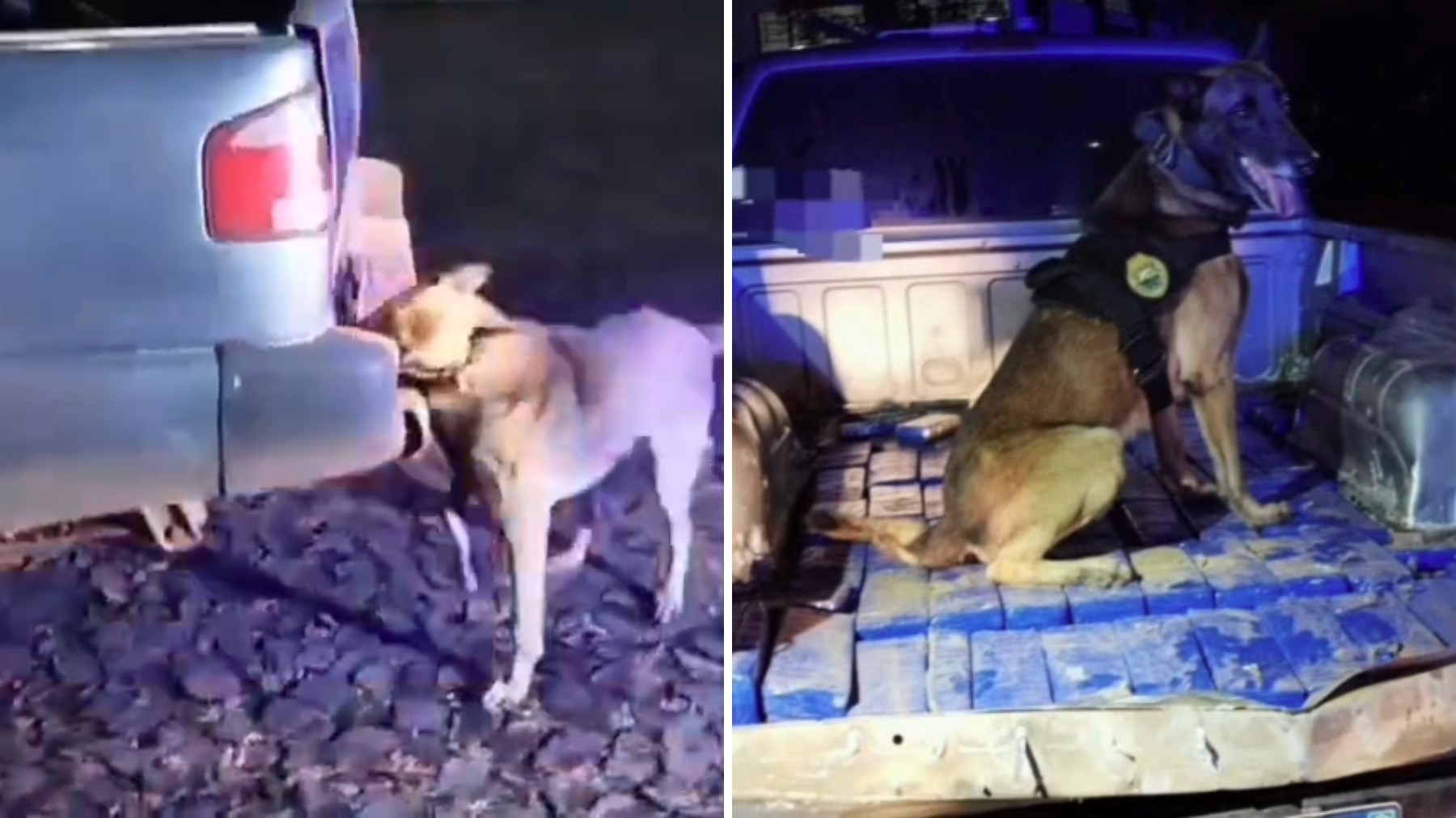 Motorista se contradiz e tenta mentir para a polícia no Paraná, mas é pego com carga de maconha escondida em fundo falso de caminhonete