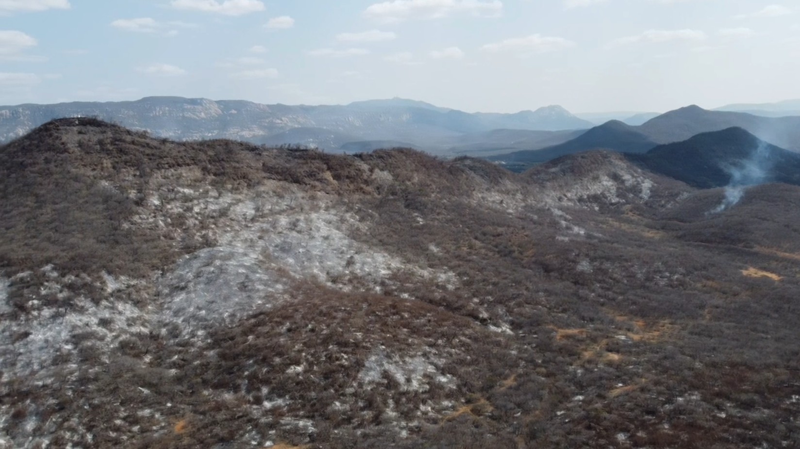 Incêndio florestal no Sertão da Paraíba já consumiu 40% da vegetação nativa em serra
