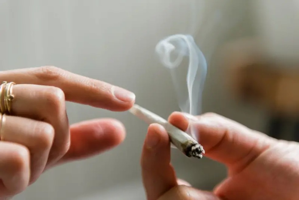 Pessoas que usam cannabis com THC de 10% ou mais têm cinco vezes mais chance de desenvolver um transtorno psicótico, em comparação com aquelas que não usam a droga. — Foto: GETTY IMAGES via BBC