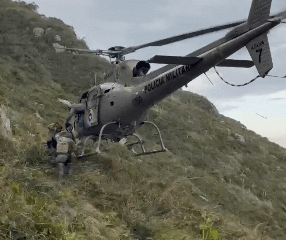 VÍDEO: capivara fica presa por 4 dias em penhasco de trilha e é resgatada por helicóptero em Florianópolis