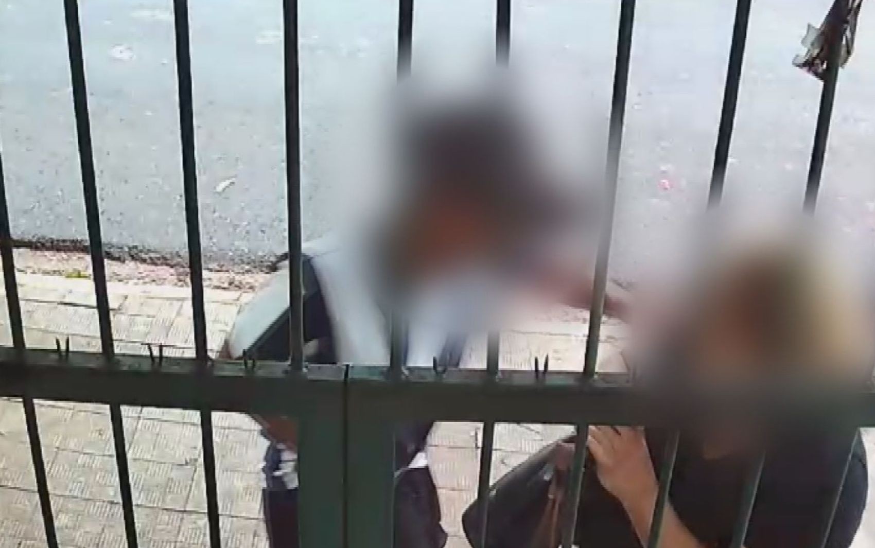 Mulher é arrastada por ladrão na calçada e grita por socorro ao ser assaltada em frente de casa em Ribeirão Preto; VÍDEO